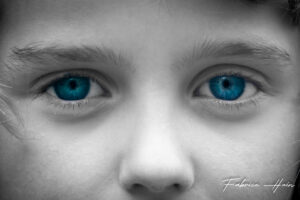 Le regard