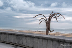 Dansende golven