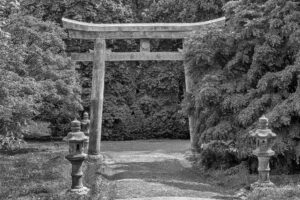 Torii (1)