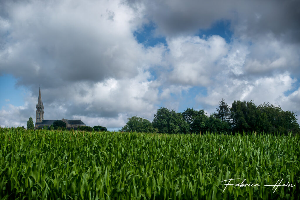 Vapeur des Trieux (4)