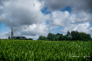 Vapeur des Trieux (4)