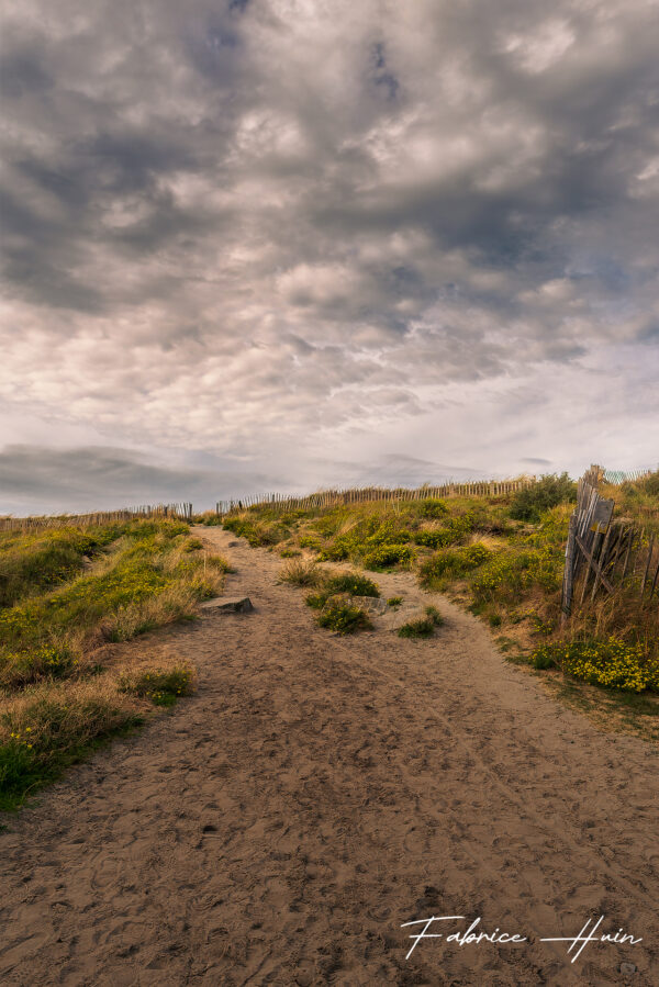 Dune